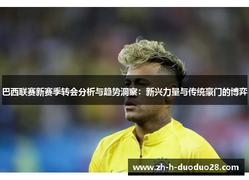 巴西联赛新赛季转会分析与趋势洞察：新兴力量与传统豪门的博弈