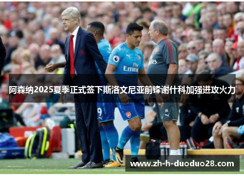 阿森纳2025夏季正式签下斯洛文尼亚前锋谢什科加强进攻火力