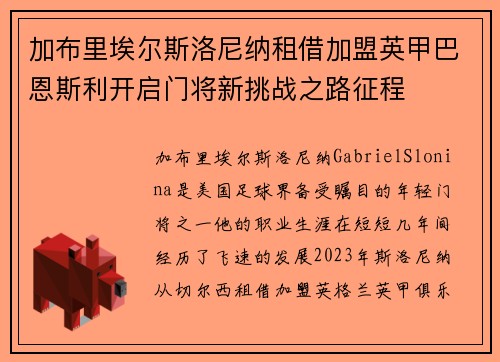 加布里埃尔斯洛尼纳租借加盟英甲巴恩斯利开启门将新挑战之路征程
