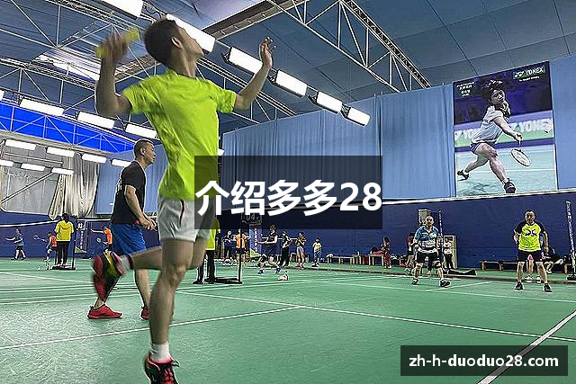 介绍多多28